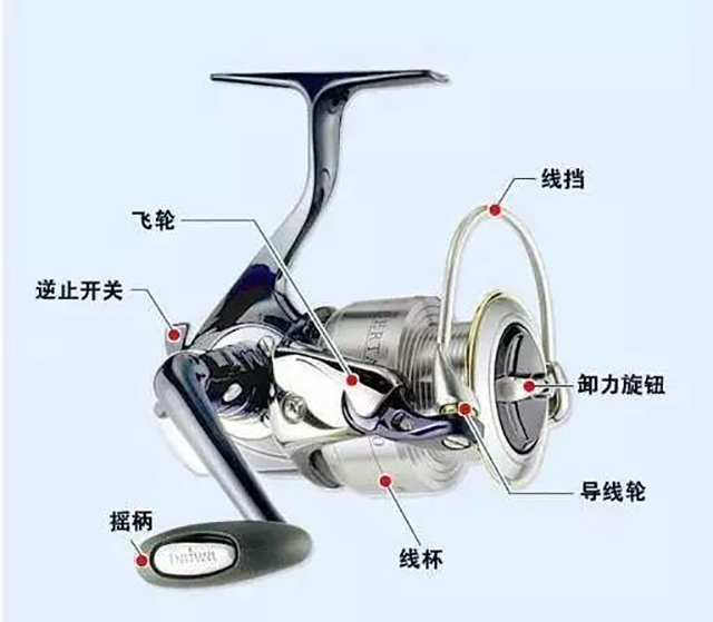 路亚知识-认识纺车轮